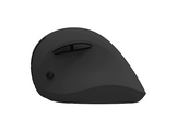 QWARE Souris sans fil Coventry Noir (PCM-275BL) Souris sans fil Noir
