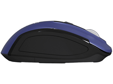 Charger l&#39;image dans la galerie, Souris bleue et noire. La souris est inclinée, montrant le profil latéral.
