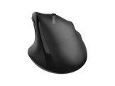 QWARE Souris sans fil Lincoln Noir (QW PCM-240BL)