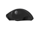 QWARE Souris sans fil Luton Noir (PCM-250BL)