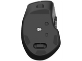 QWARE Souris sans fil Plano Mouse Noir