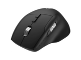 QWARE Souris sans fil Plano Mouse Noir