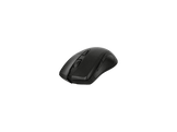 QWARE Souris sans fil Preston Noir (QW PCM-155BL)