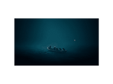 Reanimal - PS5
