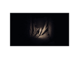 Reanimal - Switch 2