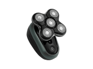 alt1