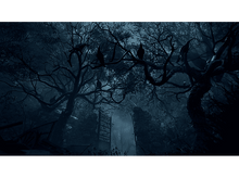 Charger l&#39;image dans la galerie, CAPCOM Resident Evil 4 (2023) FR/NL PS5
