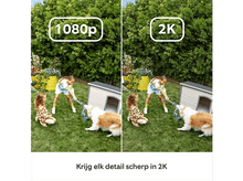 Charger l&#39;image dans la galerie, Deux images comparent les résolutions 1080p et 2K d&#39;enfants jouant avec un chien près d&#39;une niche.
