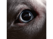 Charger l&#39;image dans la galerie, alt1
