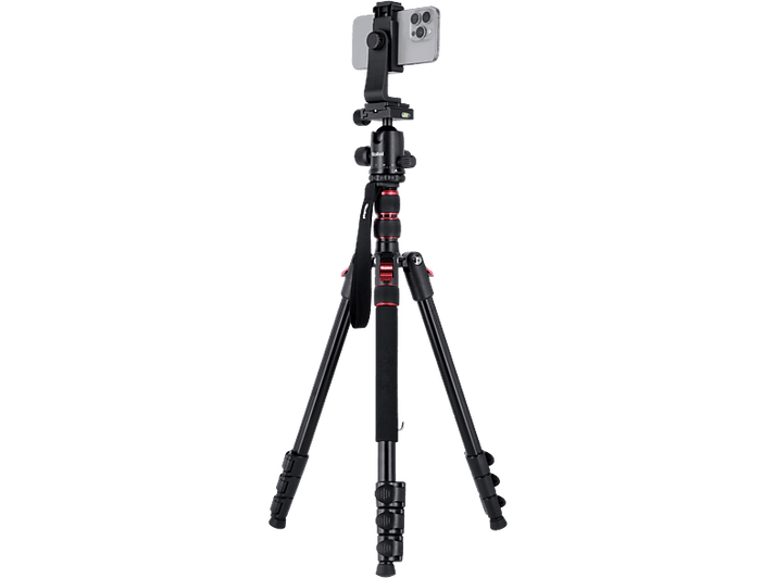 alt1