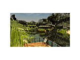 RollerCoaster Tycoon 3 - Complete Edition - PS5