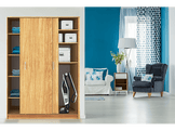 ROWENTA Aspirateur Balai 2en1 Blanc (RH6737WH)