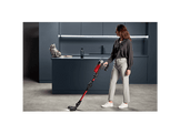 ROWENTA Aspirateur balai X-Force Flex Animal Care 9.60 (RH2079W0)