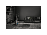 ROWENTA Aspirateur Green Force Max (RO4931EA)