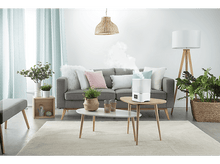 Charger l&#39;image dans la galerie, Un salon avec un canapé gris, un humidificateur, des plantes et un tapis clair.
