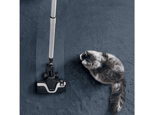 Charger l'image dans la galerie, alt1
