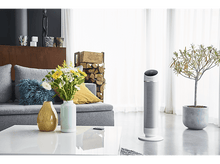 Charger l&#39;image dans la galerie, Un salon avec un ventilateur, un canapé, des fleurs et des objets décoratifs.
