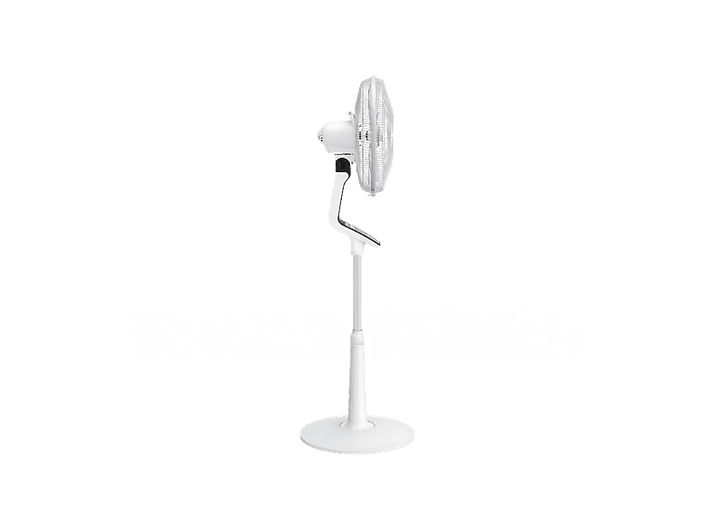 alt1