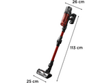 ROWENTA Aspirateur balai X-Force Flex 13.60 TANIN (RH9A73WO)