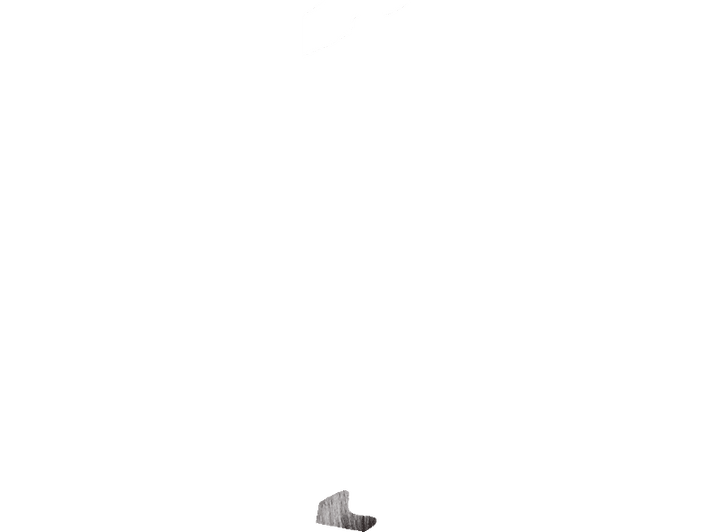 alt1