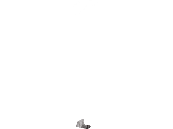 alt1