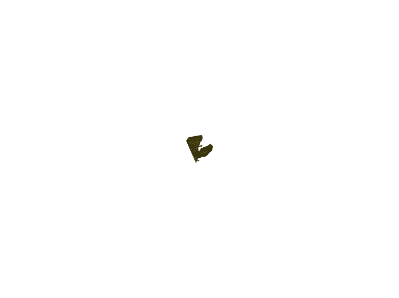 alt1