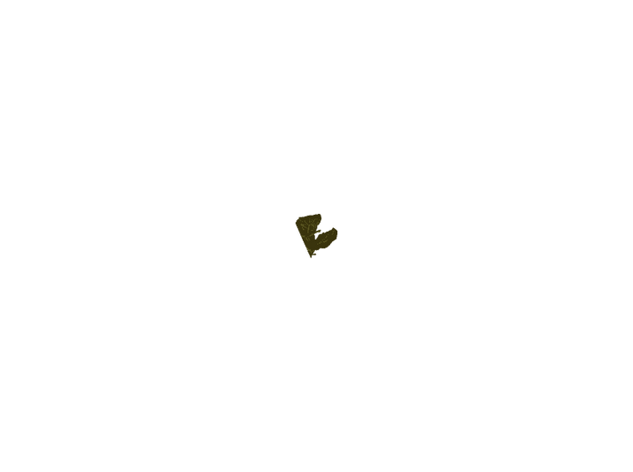 alt1