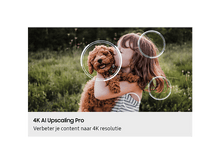 Charger l'image dans la galerie, alt1
