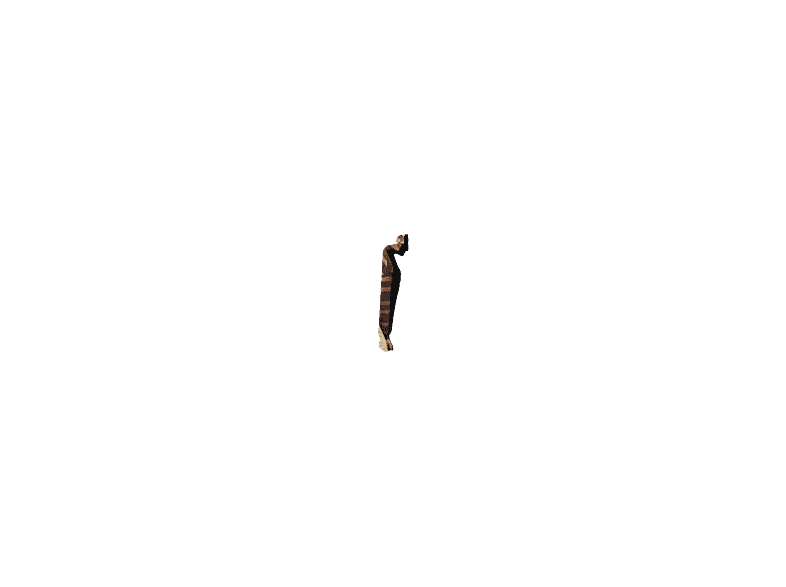 alt1