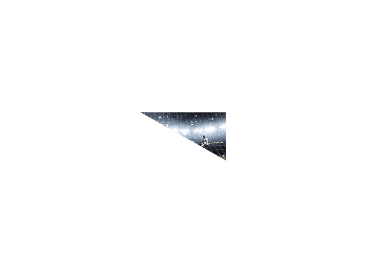 alt1