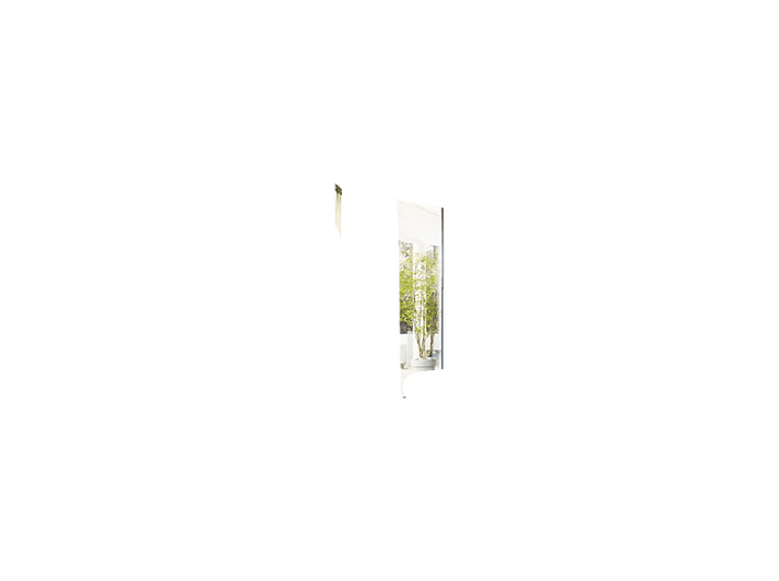 alt1