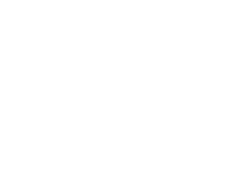 alt1
