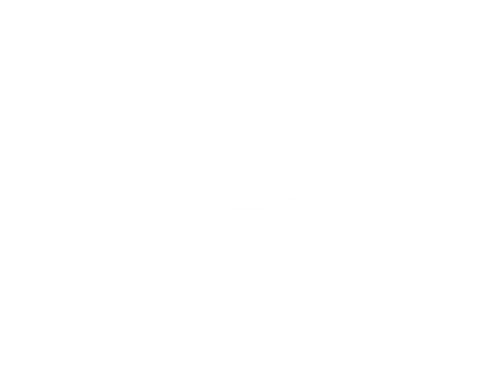 alt1