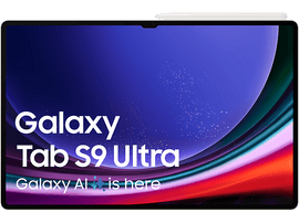 SAMSUNG Galaxy Tab S9 Ultra 256 GB 14.6