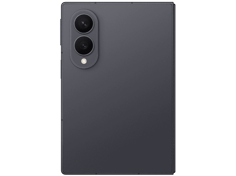 alt1