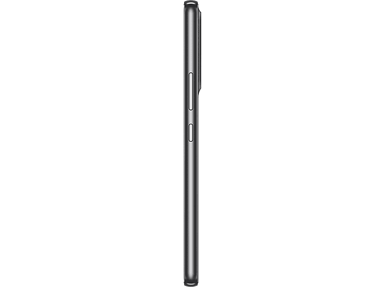 alt1