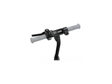 SEGWAY KickScooter C2 Pro E - Trottinette électrique pour enfants (905212)
