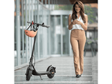 Ninebot by Segway KickScooter F25E