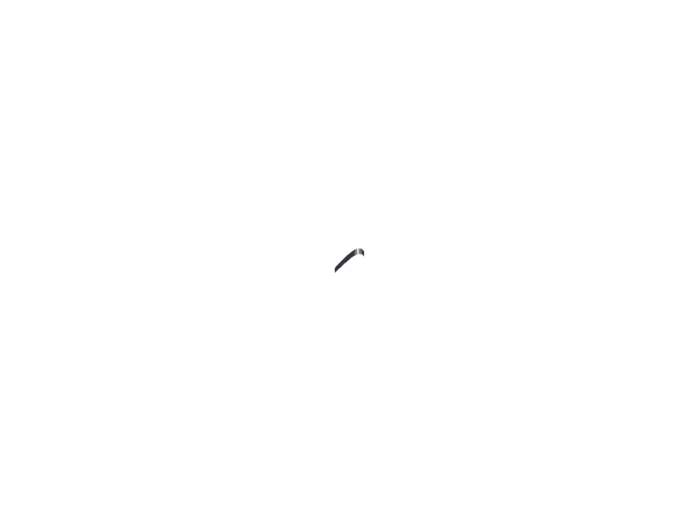 alt1