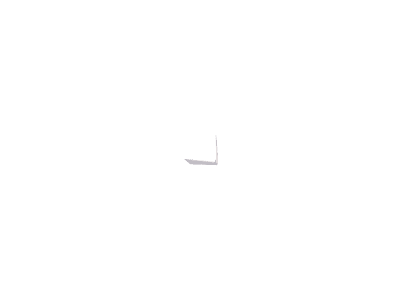 alt1