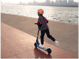 SEGWAY Ninebot Kickscooter C2 Lite - Trottinette électrique