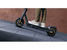 Charger l'image dans la galerie, alt1
