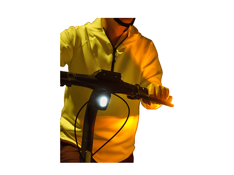 alt1