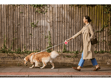 Charger l&#39;image dans la galerie, SHOKZ OpenFit 2+ Open-Ear TWS - Écouteurs sans fil Gris
