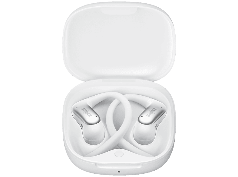 alt1