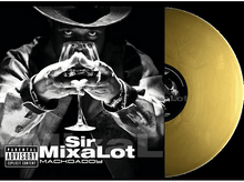 Charger l'image dans la galerie, alt1
