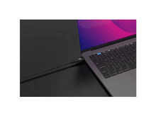 Charger l&#39;image dans la galerie, alt1
