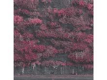 Charger l'image dans la galerie, alt1
