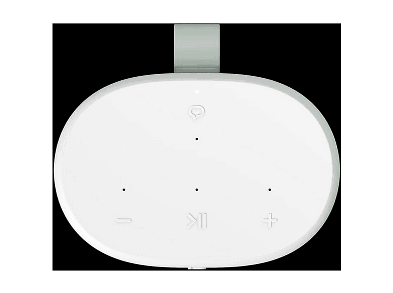 alt1