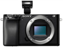 Charger l'image dans la galerie, alt1
